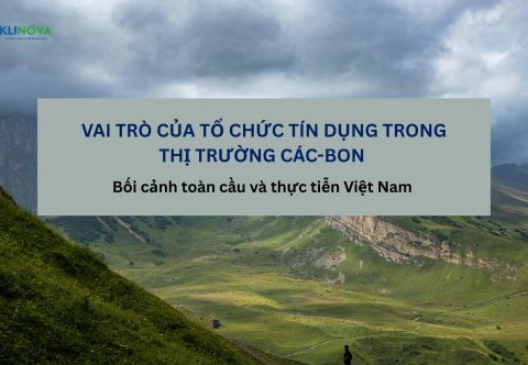 Vai trò của các Tổ chức Tín dụng trong Thị trường Carbon: Bối cảnh toàn cầu và thực tiễn Việt Nam